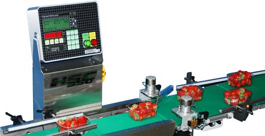 Checkweigher with sorting system